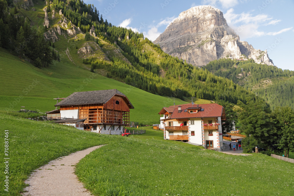 footpath in picturesque alpine village Colfosco