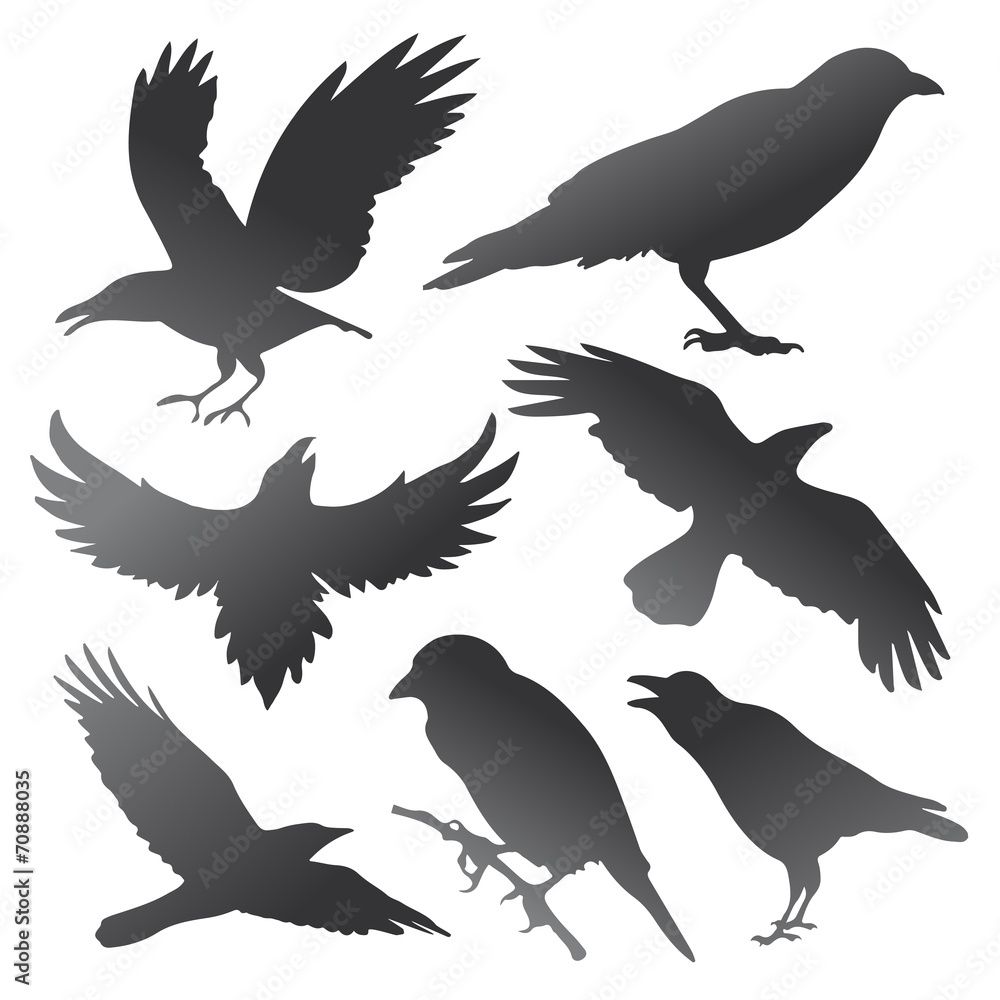 Crow Silhouettes Crow Silhouettes