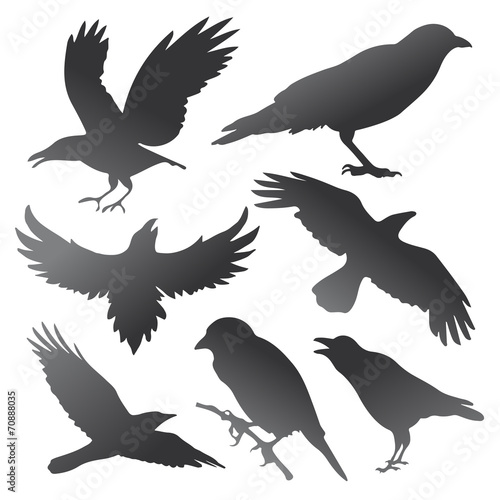 Crow Silhouettes