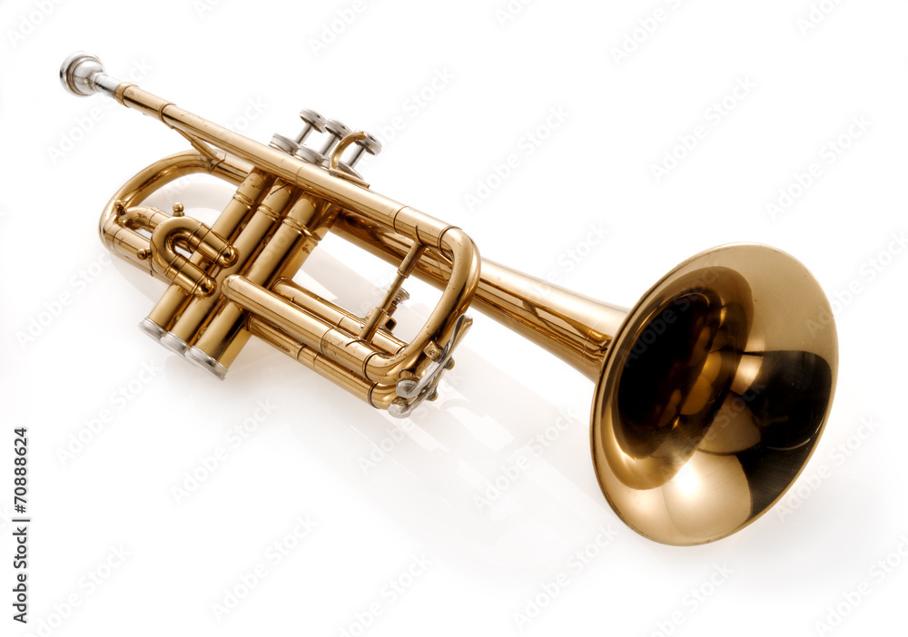 Naklejka premium trumpet