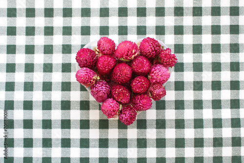 Obraz na płótnie Globe amaranth