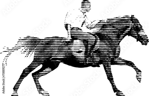 horse lines