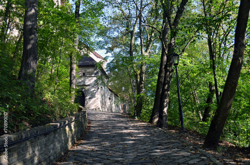 Obraz w ramie Orava castle - gateway