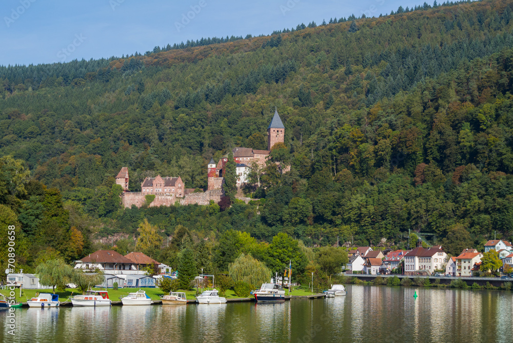 Fototapeta premium Burg Zwingenberg / Zwingenburg