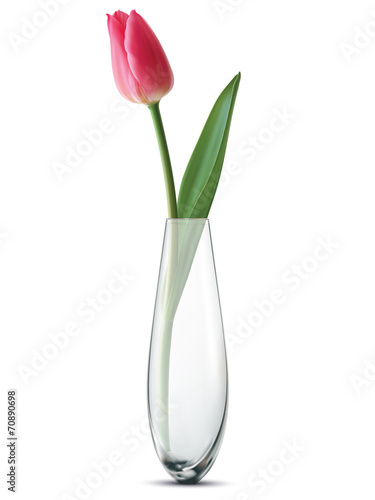 tulipan-w-wazonie-na-bialym-tle