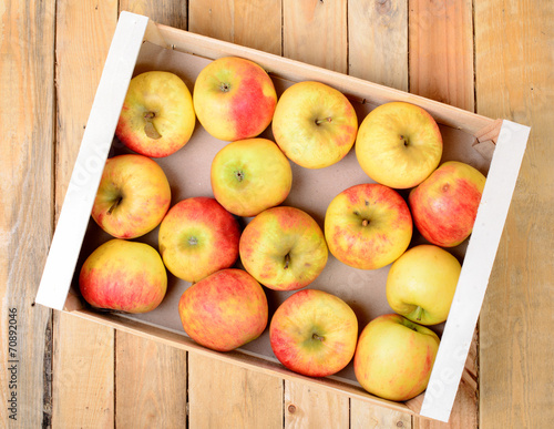 small box of apples for cider photo