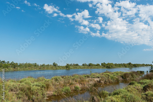 Camargue