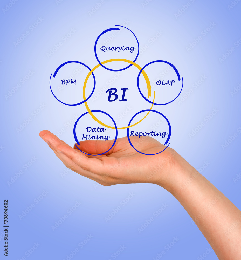 Business Intelligence Business Intelligence