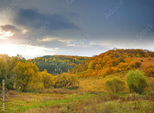 Autumn evening with a colorful forest