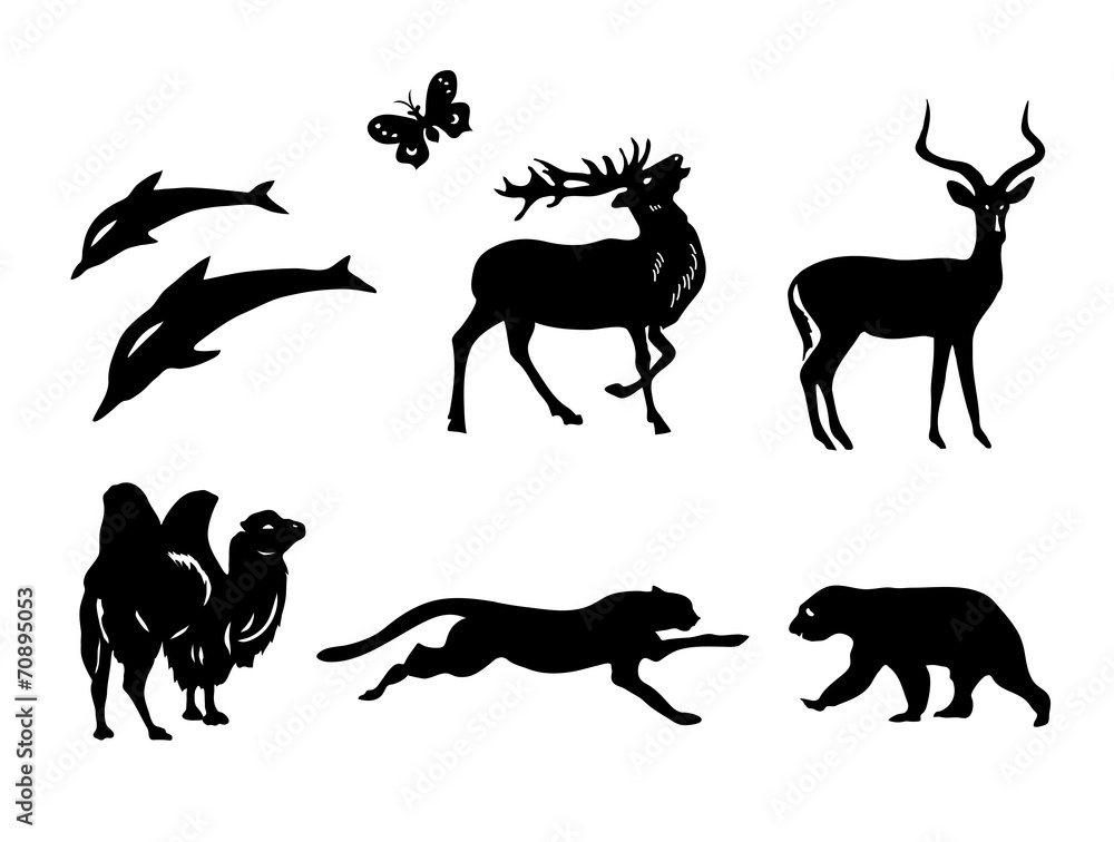 Fototapeta premium vector set - silhouettes of animals