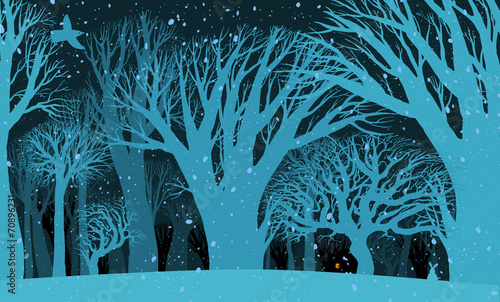 Fotografija The background image of the mysterious night of the winter fores