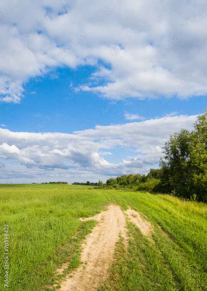 Summer Lawn Vibrant Colors