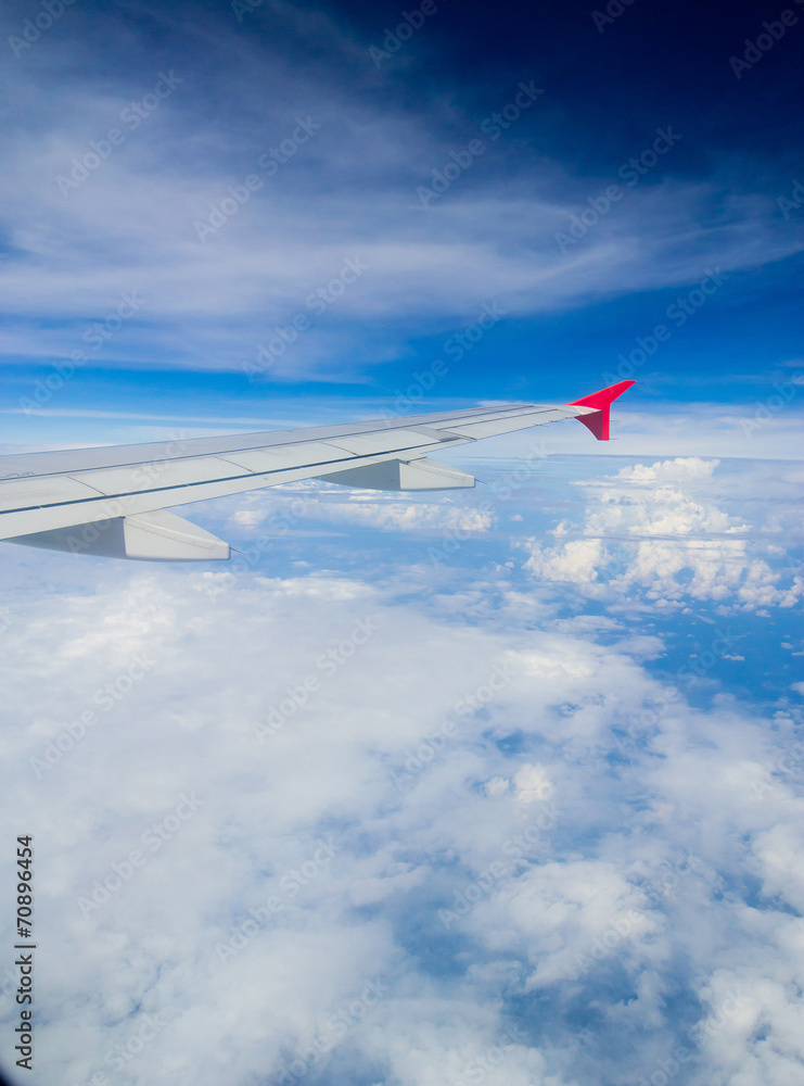 Obraz premium Wing over Lands View from Window