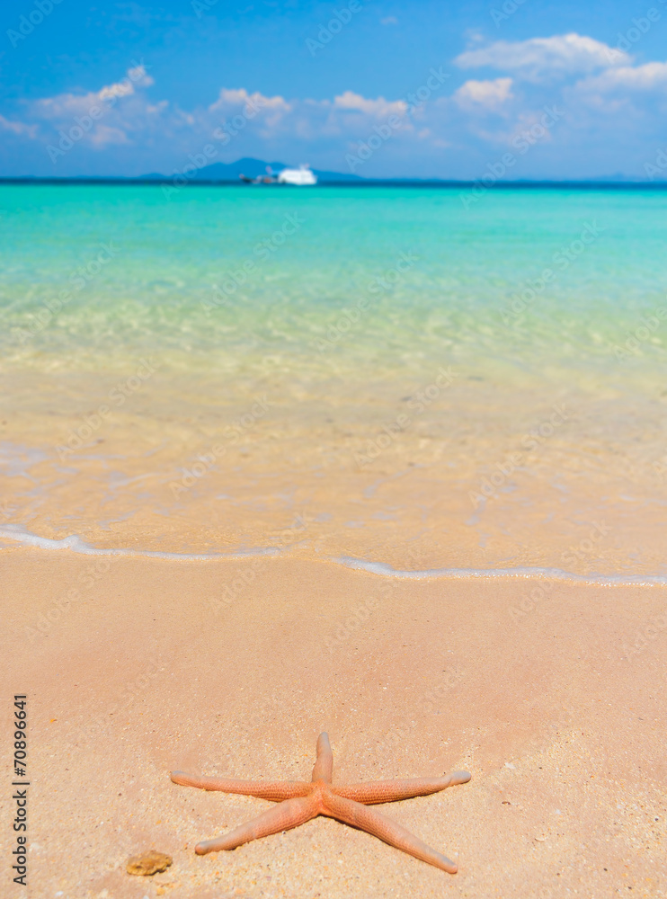 In a Sunlit Space Natural Details