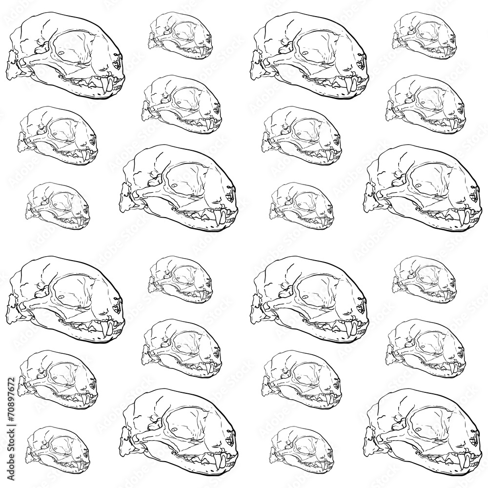 Obraz premium Seamless pattern of animal skull background