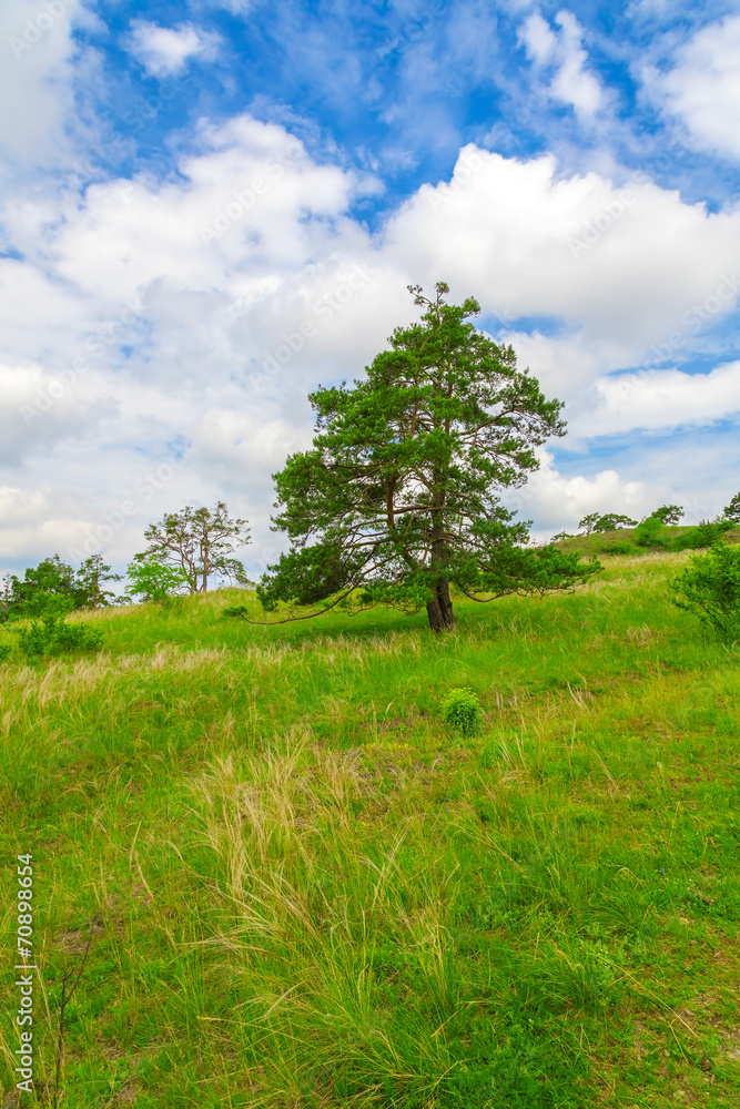 Spring landscape in the Czech Republic Spring landscape in the Czech Republic
