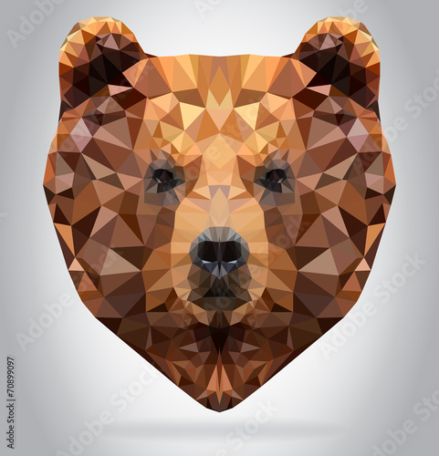 Grizzly Bear head vector isolated geometric illustration