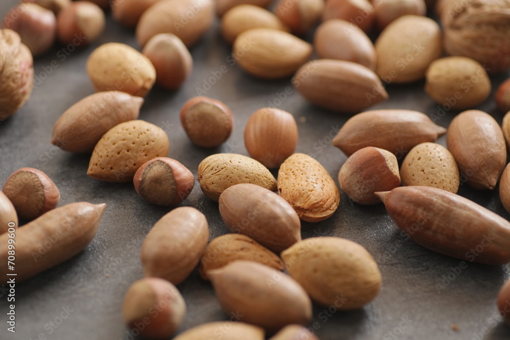 different nuts shell different nuts shell