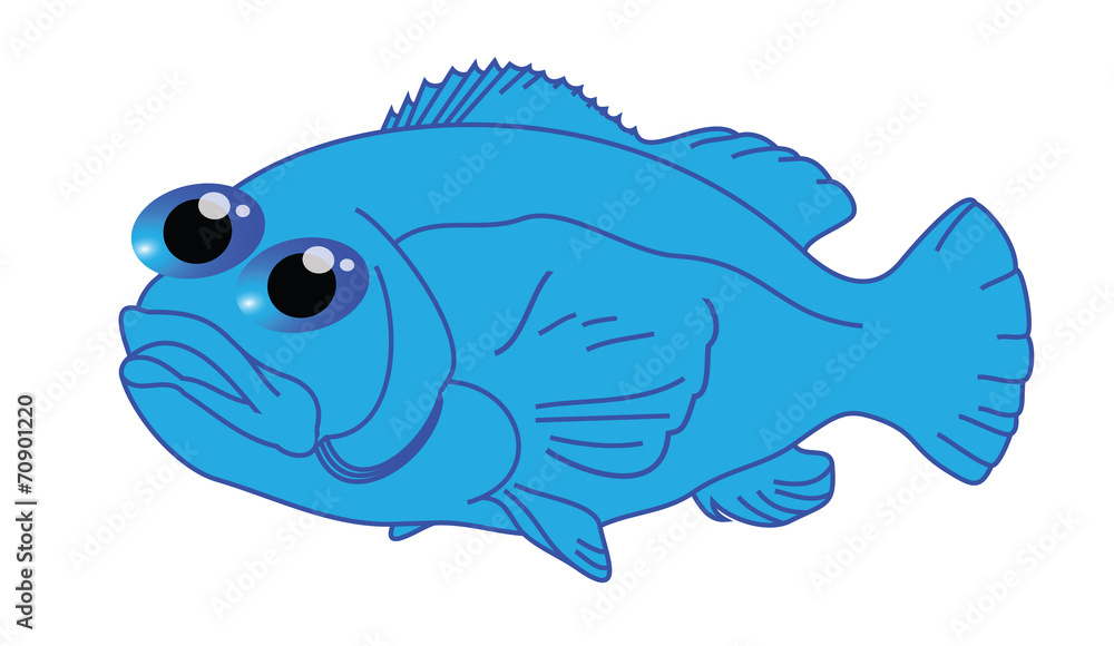 Funny blue fish cartoon Funny blue fish cartoon