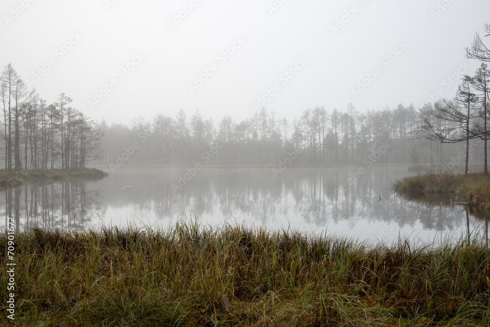Autumn lake with reflections of trees