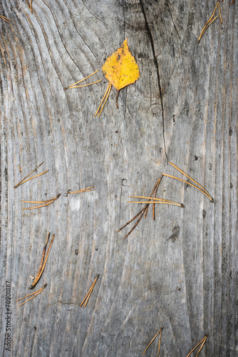 old wooden planks covered with leaves