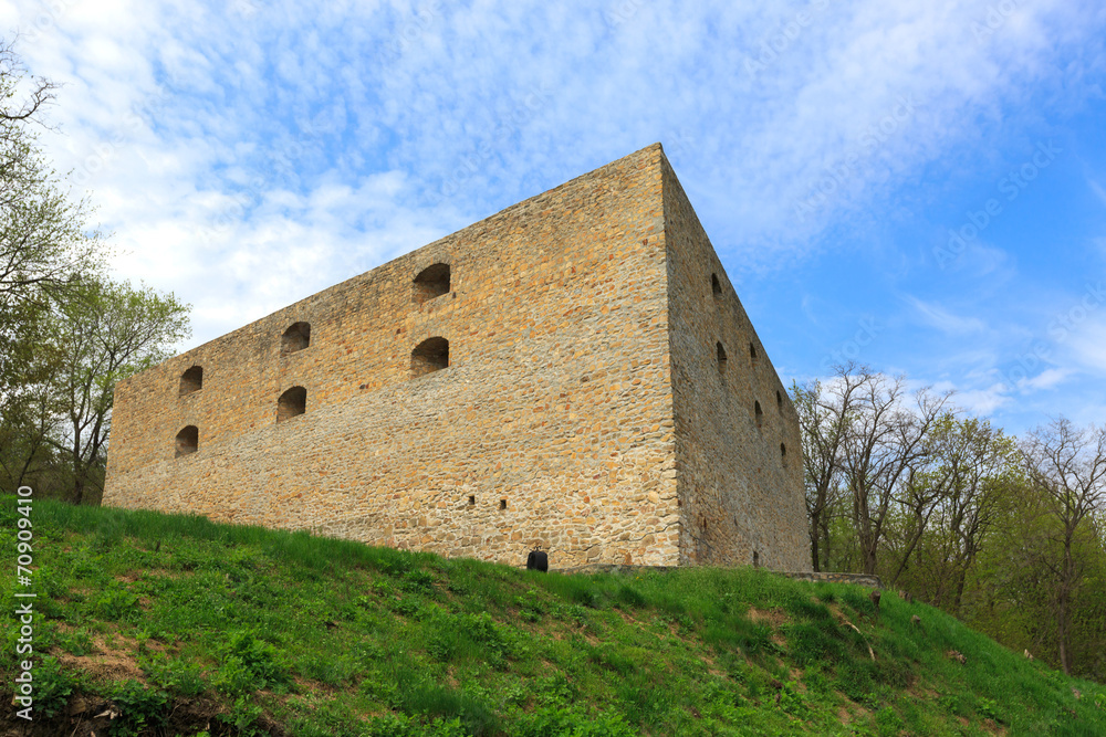 fortress on green hill