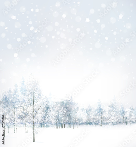 Vector of winter scene with forest background. © rvika