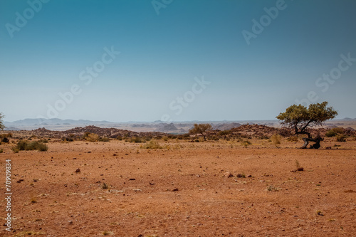 Safari in Africa