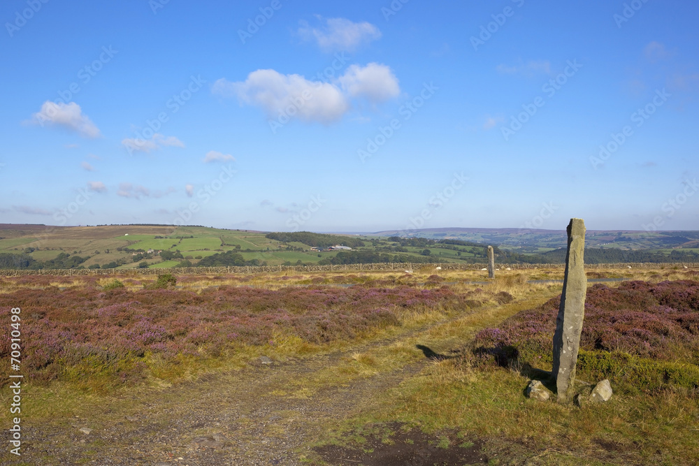 monolith and scenic yorkshire