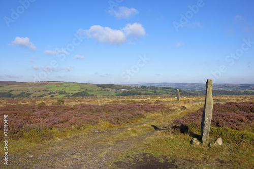 monolith and scenic yorkshire