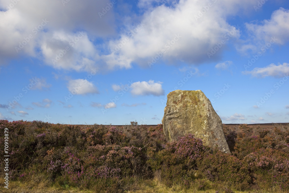 ancient monolith in heather