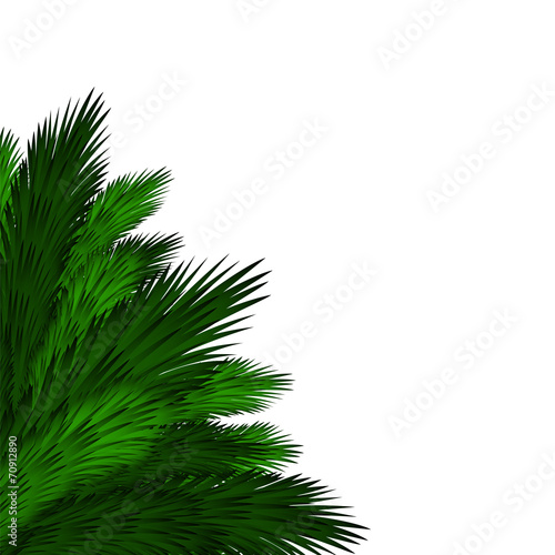 Christmas background with spruce branches