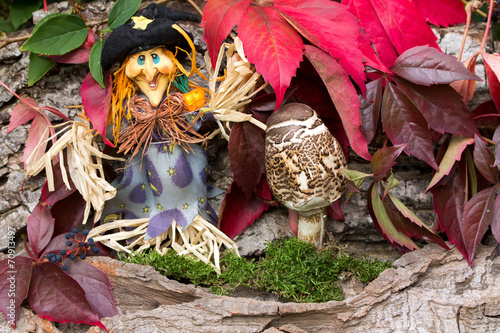 Hexe und Schirmpilz im Herbst