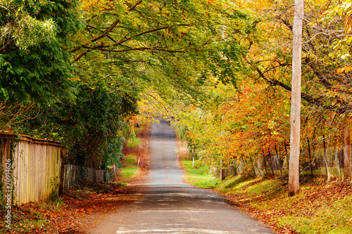 Autumn street view