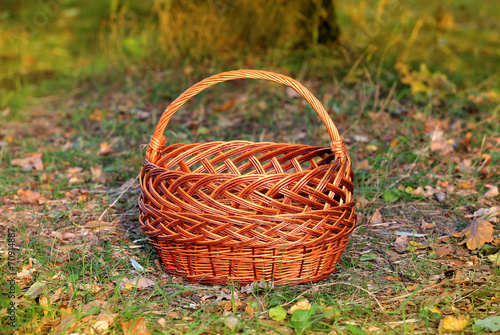 basket in autumn forest