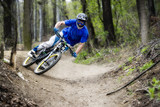 Mountainbiker in the forest