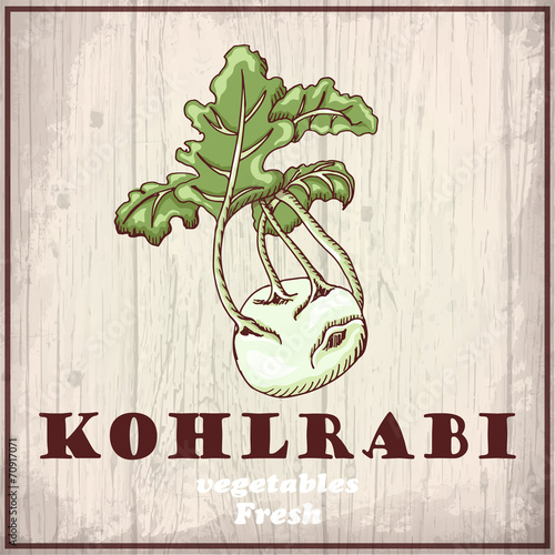 Fresh vegetable of a kohlrabi