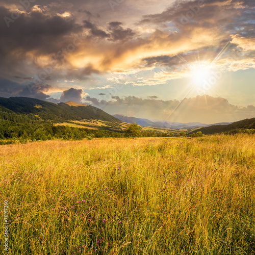 field near home in mountains at sunset © Pellinni
