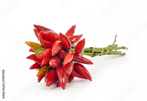 Bouquet di peperoncini