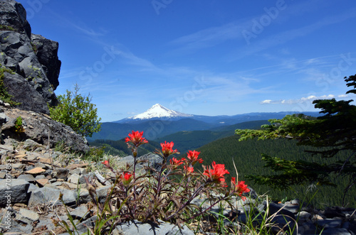 Obraz na płótnie Mt. Hood