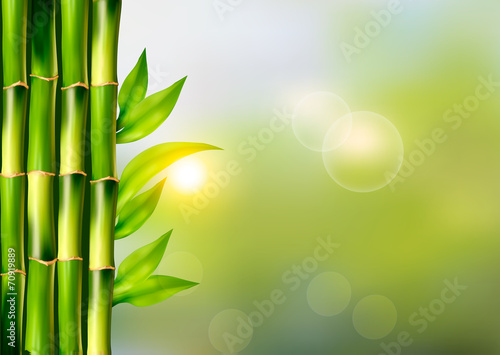 Spa background with bamboo.Vector