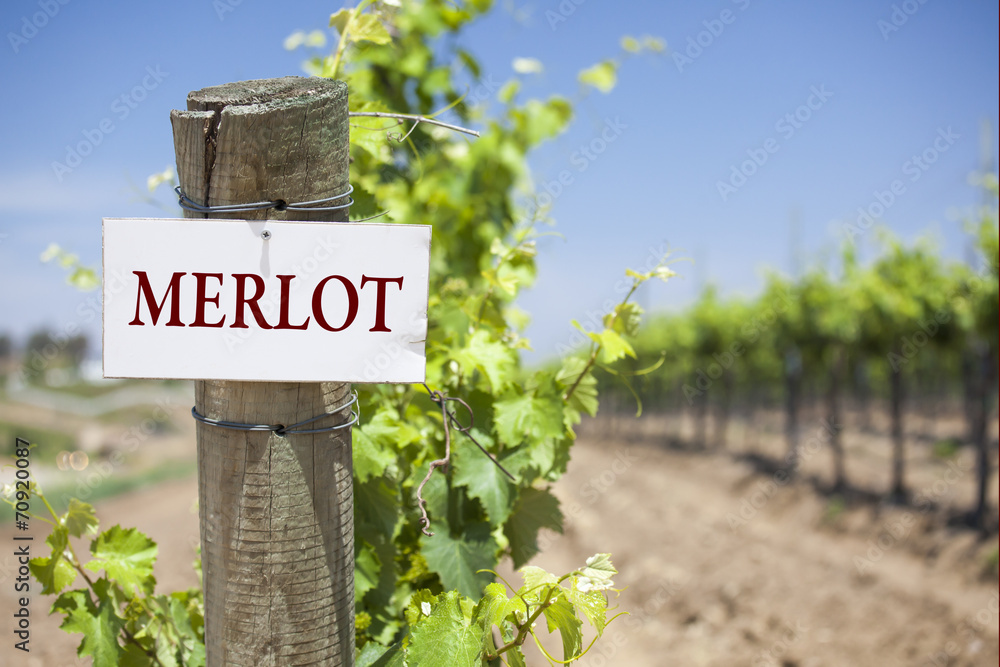 Φωτογραφία Merlot Sign On Vineyard Post
