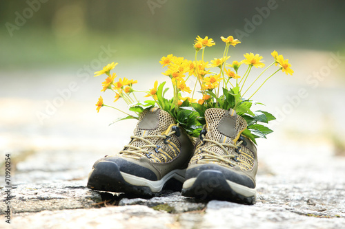 flowers and hiking boots on trail 