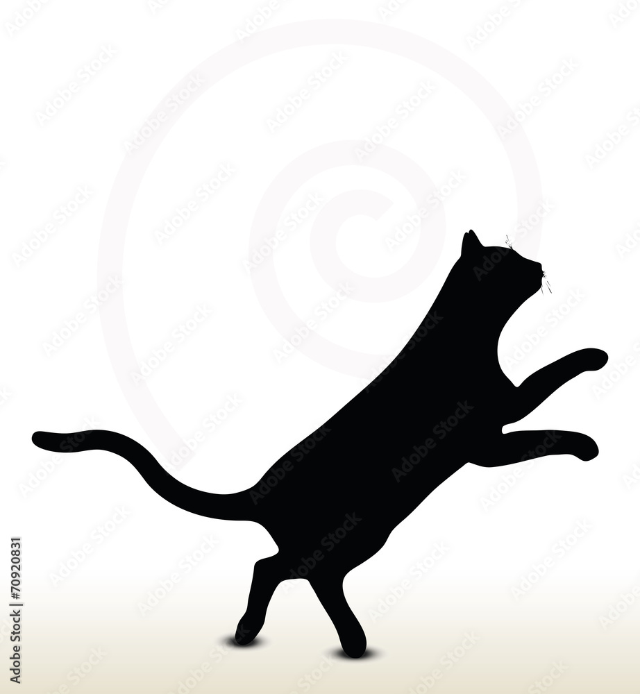 cat silhouette