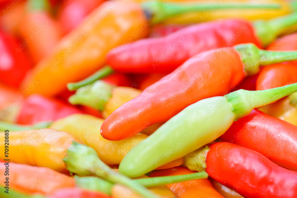 closeup of colorful fresh peppers group closeup of colorful fresh peppers group