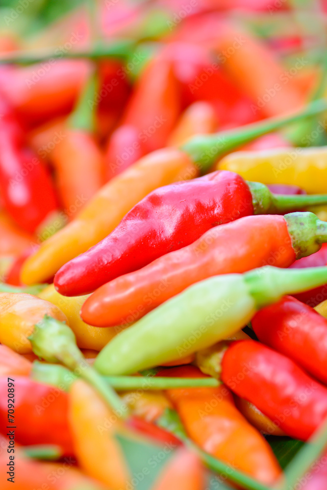closeup of  colorful fresh  peppers group