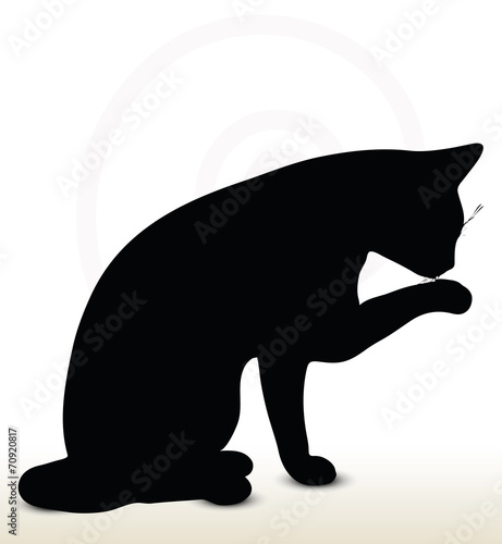 cat silhouette