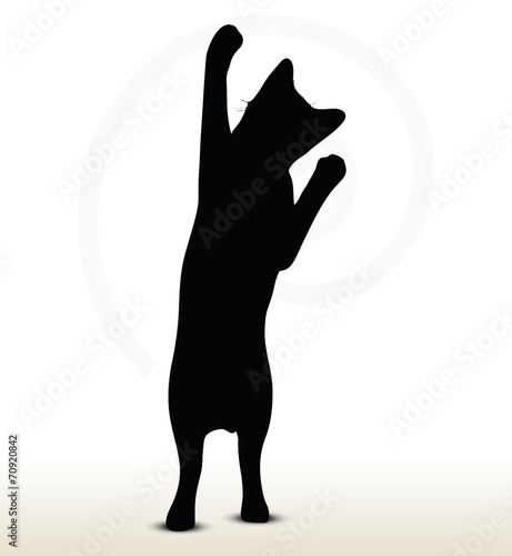 cat silhouette
