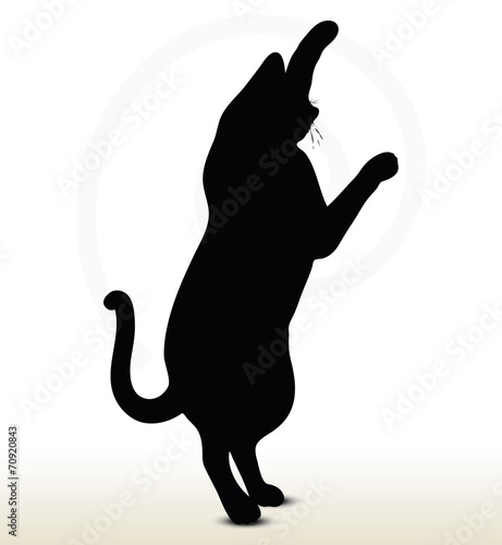 cat silhouette