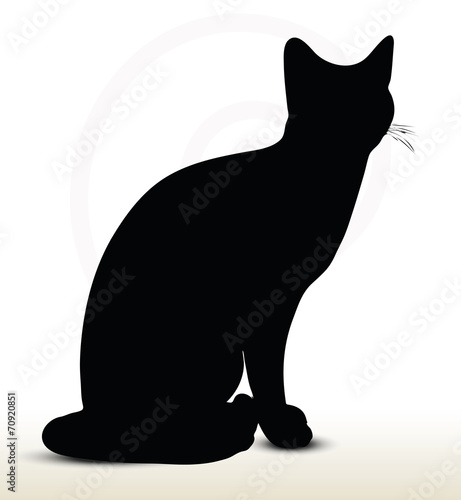 cat silhouette